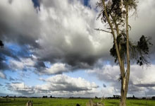 奥萨苏纳遭遇两连败，球队整体表现异常低迷