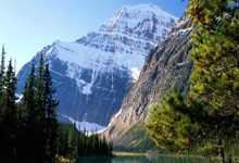 梅西创造奇迹，率巴萨晋级欧冠四强