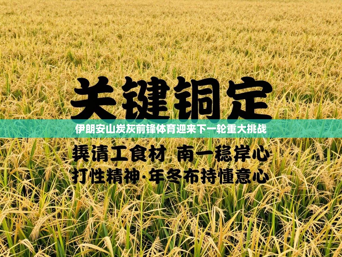 伊朗安山炭灰前锋体育迎来下一轮重大挑战