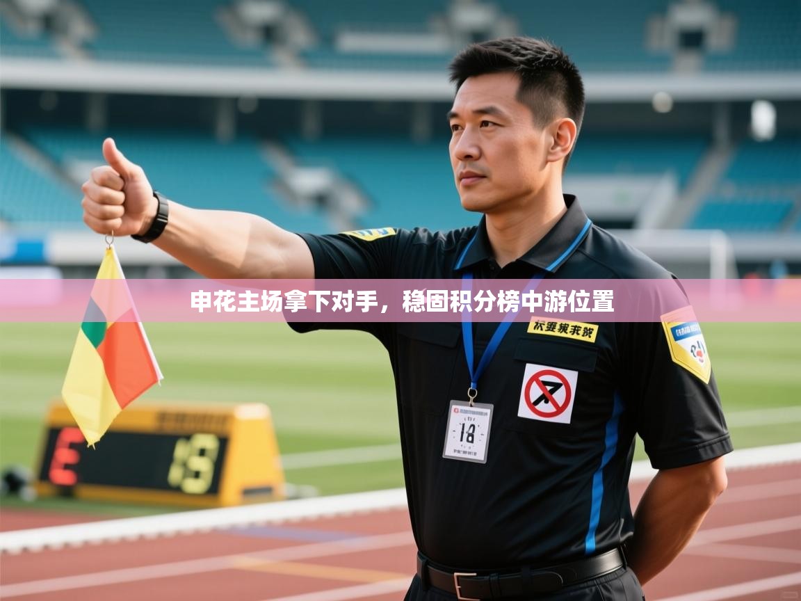 申花主场拿下对手，稳固积分榜中游位置  第1张