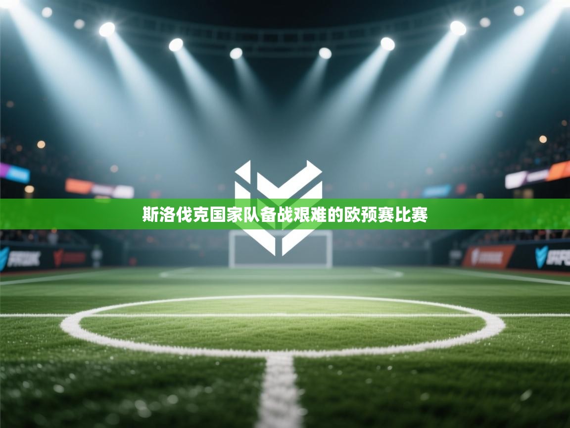 斯洛伐克国家队备战艰难的欧预赛比赛 第1张