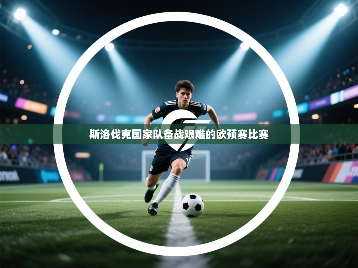 斯洛伐克国家队备战艰难的欧预赛比赛 第2张